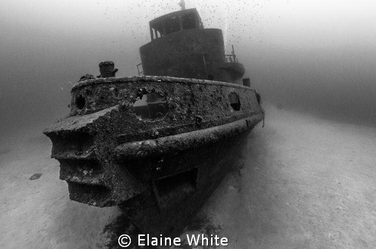 Tug Boat The Rozi.....Appears like a ghost ship on the se... by Elaine White 