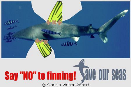 say NO to fining ! by Claudia Weber-Gebert 