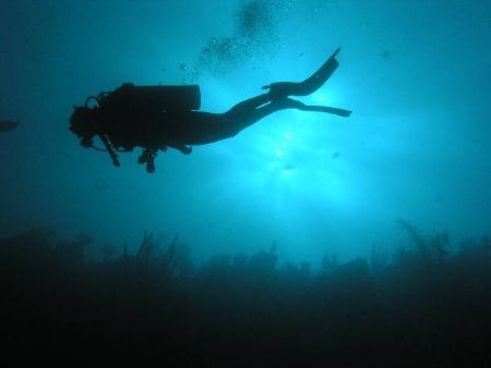 This photo of my wife diving at Moon Hole in Utila, Hondu... by Matt Hogan 