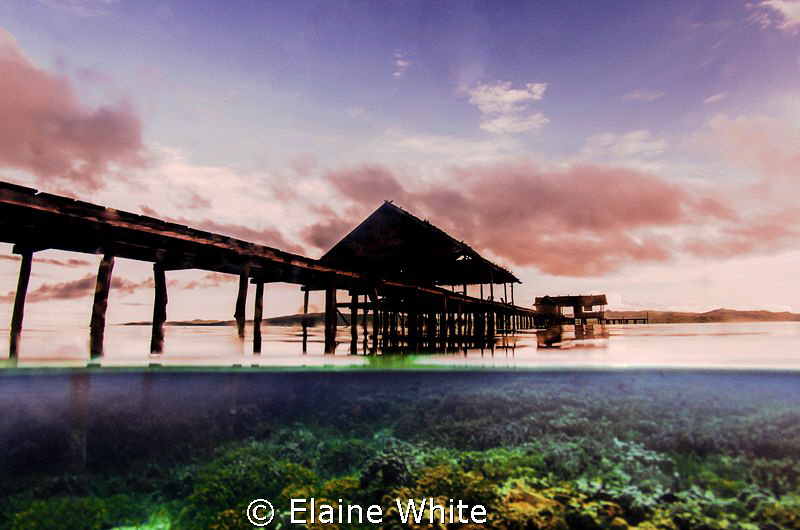 Pier at Kri Eco Resort, Raja Ampat by Elaine White 