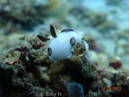 just another Jorunna Funebris by Billy N 