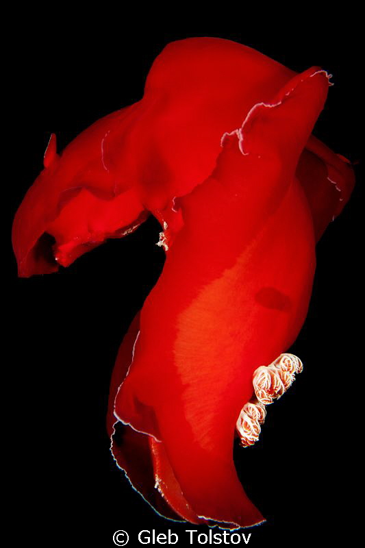 Dancing in the dark by Gleb Tolstov 