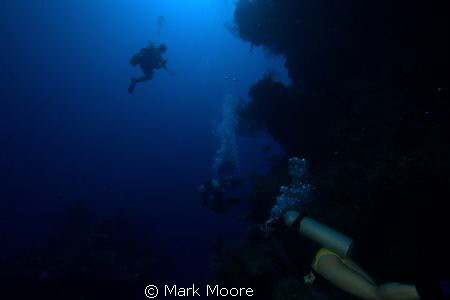 North Wall Grand Cayman by Mark Moore 