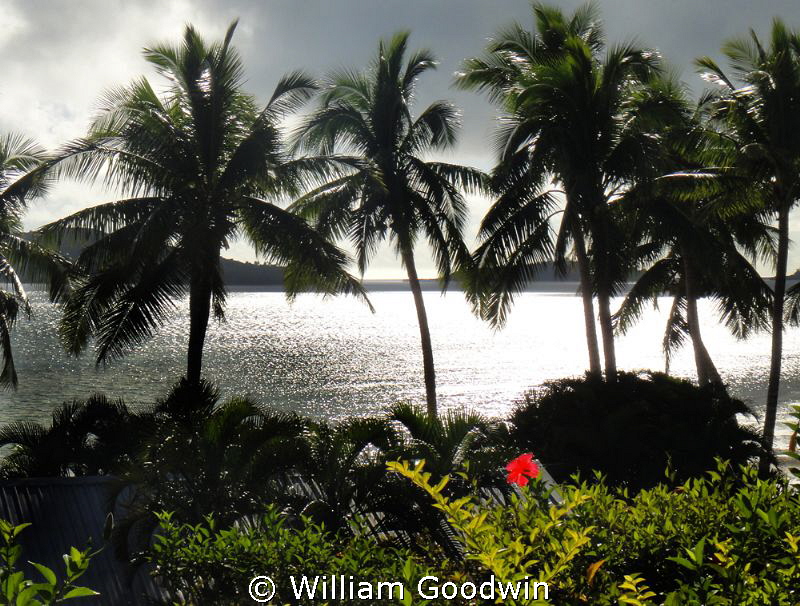 Late in the day at Wananavu by William Goodwin 