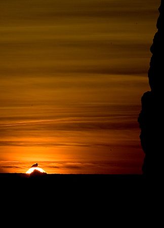 One very hot egg!...
Sunset on the Oregon Coast.
D70 by Rand Mcmeins 