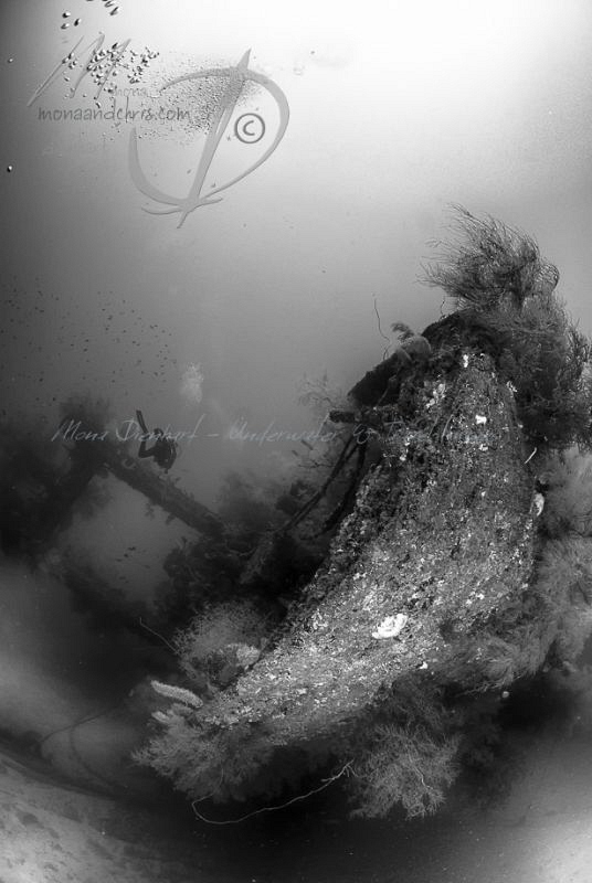 GILI RAJA WRECK
a beautiful wreck near Donggala (West Su... by Mona Dienhart 