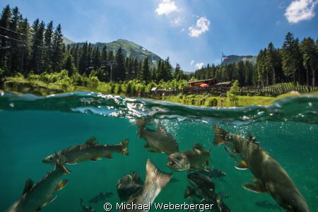 mountain lake in Austria ,Saiblingcity with the Divincenter. by Michael Weberberger 
