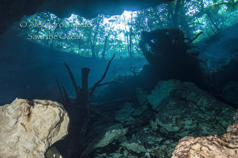 Chack Moll cenote, Playa del Carmen Mexico by Alejandro Topete 