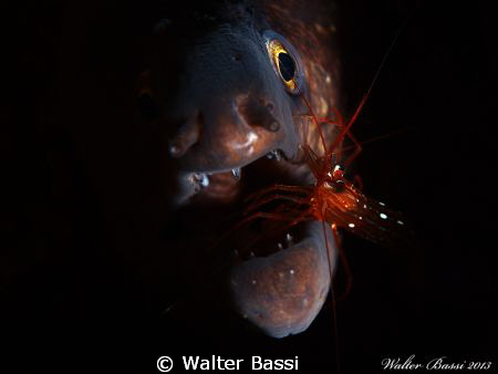 "The dentist" by Walter Bassi 