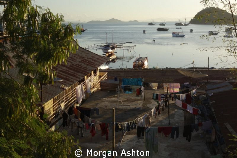 The town of Labuan Bajo on the island of Flores near Komo... by Morgan Ashton 