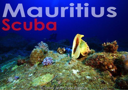 Republic of Mauritius -Scuba Mauritus 
Flic en Flac 20me... by Linley Jean-Yves Bignoux 