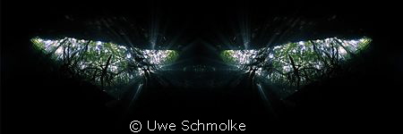 Watching you -
Image is mirrored by Uwe Schmolke 