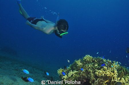 Young freediver approaches a coral rock by Daniel Poloha 