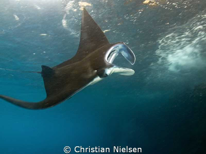 Another nice manta encounter on Nusa Penida by Christian Nielsen 