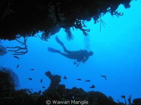 has amazing dive in Gorontalo by Wawan Mangile 