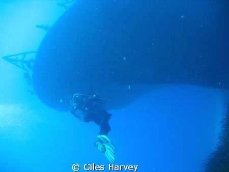 Diver starts to explore the P29 off Malta at Cirkewwa. Or... by Giles Harvey 