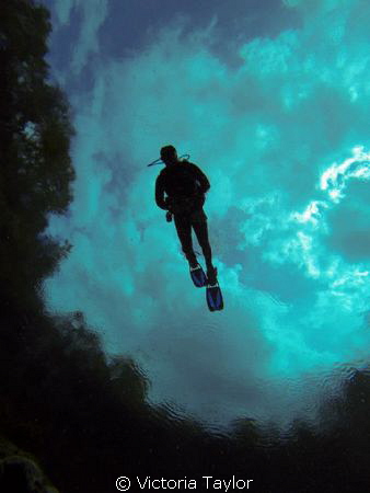 Alexander Springs Florida diver flying through the sky.  ... by Victoria Taylor 