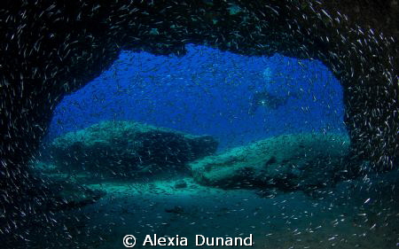 Diving in La Graciosa, part of Europe's largest marine re... by Alexia Dunand 
