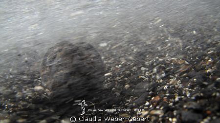 waves in motion by Claudia Weber-Gebert 