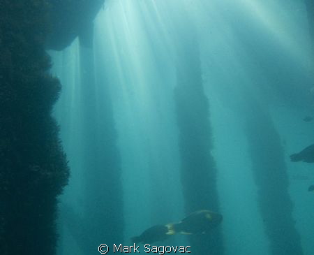 "Let the shine in- taken under one of the many boat piers... by Mark Sagovac 