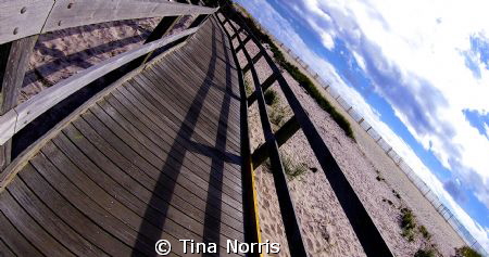 Fire Island by Tina Norris 