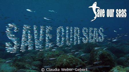 Save
Our
Seas by Claudia Weber-Gebert 
