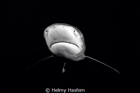 Red Sea ,  egypt by Helmy Hashim 