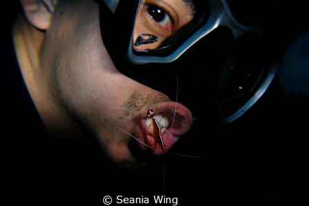 dental care by Seania Wing 