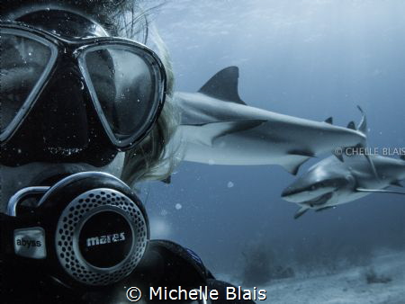 While doing a Shark Dive with Stuart Coves in Bahamas, I ... by Michelle Blais 