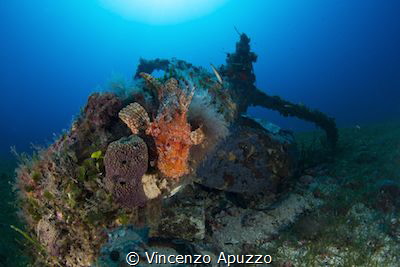 This little engine wreck from world war 2 sits by its sel... by Vincenzo Apuzzo 