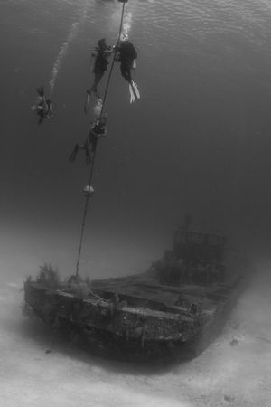 Divers doing the safety stop at 3m. EOS20D housed by Aqua... by Fabio Amorim 