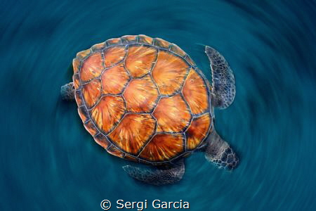 spin:The high angle shot shows the colour contrast of the... by Sergi Garcia 