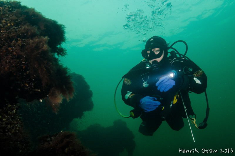 Diver Inspecting Ancient Wreck Runuchi by Henrik Gram Rasmussen 