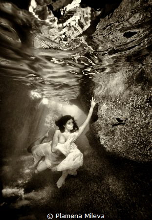 Underwater kingdom by Plamena Mileva 