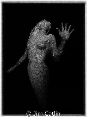 Mermaid statue at Sunset House Reef on night dive by Jim Catlin 