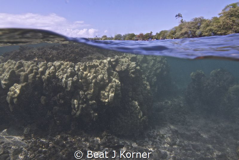 Looking at two worlds with one shot - coral garden and be... by Beat J Korner 