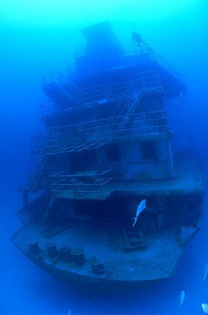 Roatan, Honduras. Odyssey wreck, 115 feet and natural light. by Shawn Jackson 
