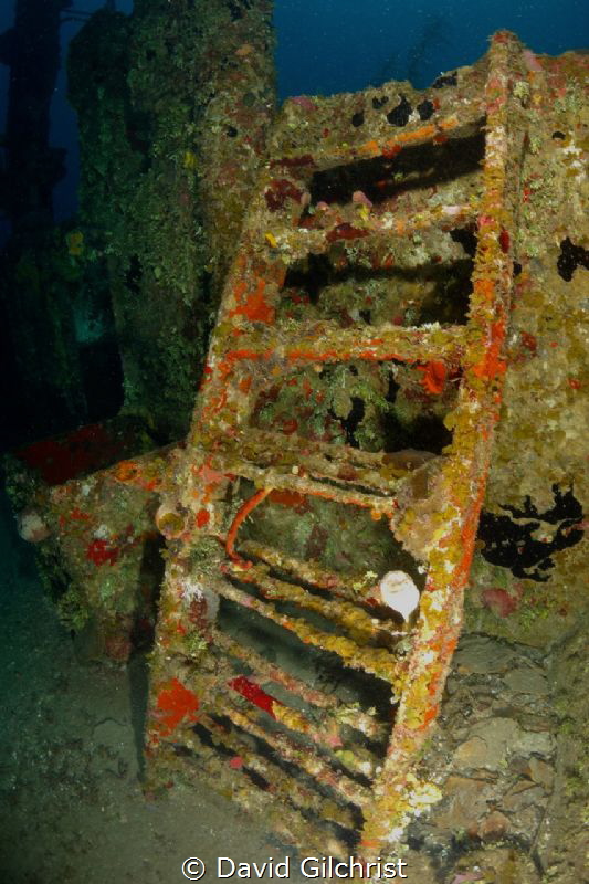 Ladder near the Bow of the El Aguila wreck, Roatan by David Gilchrist 