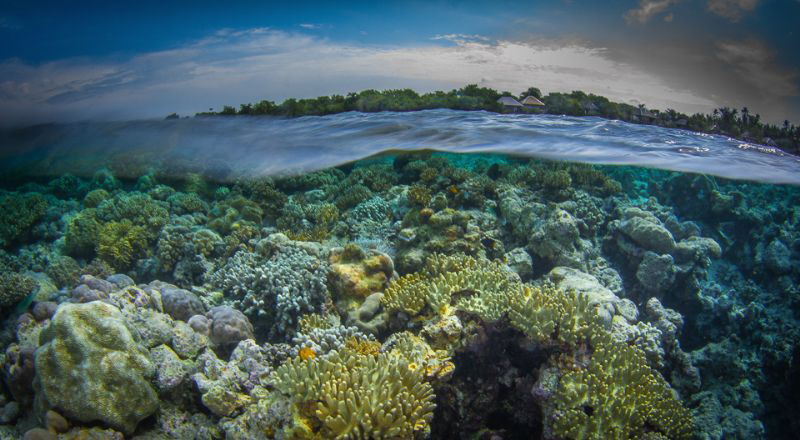 A very low tide on Wakatobi's House Reef by Steven Miller 