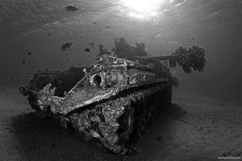 The Tank - Aqaba, Jordan 
The Tank is an American M42 Du... by Iyad Suleyman 