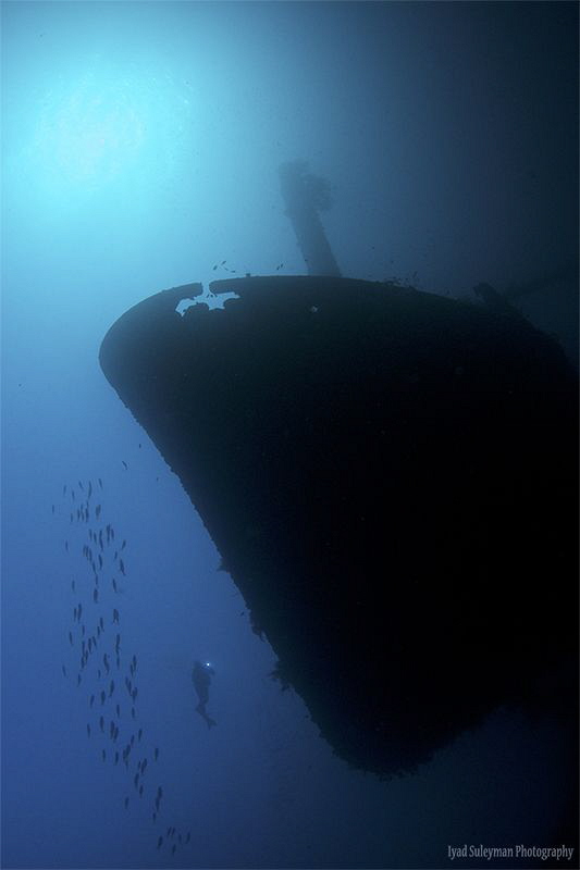 Cedar Pride Wreck
Actually this wreck lies on its left s... by Iyad Suleyman 