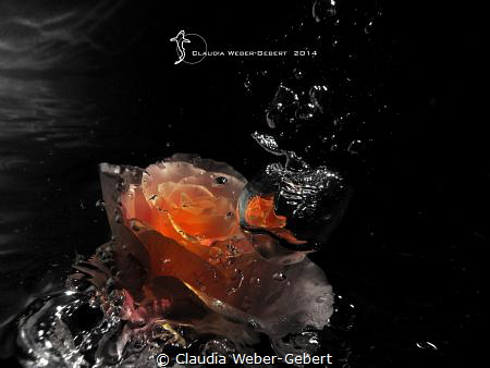 underwater experimental - abstract by Claudia Weber-Gebert 
