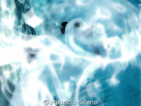 underwater picture taken in swiming pool by Mauricio Silerio 