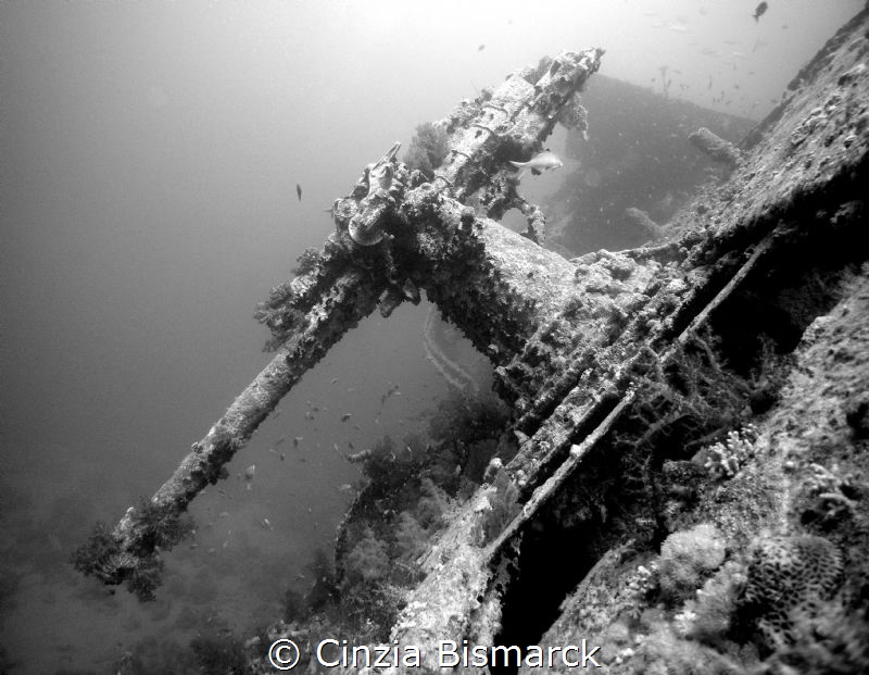 BANG!
The Anti-aircraft gun of Thistlegorm
Natural ligh... by Cinzia Bismarck 