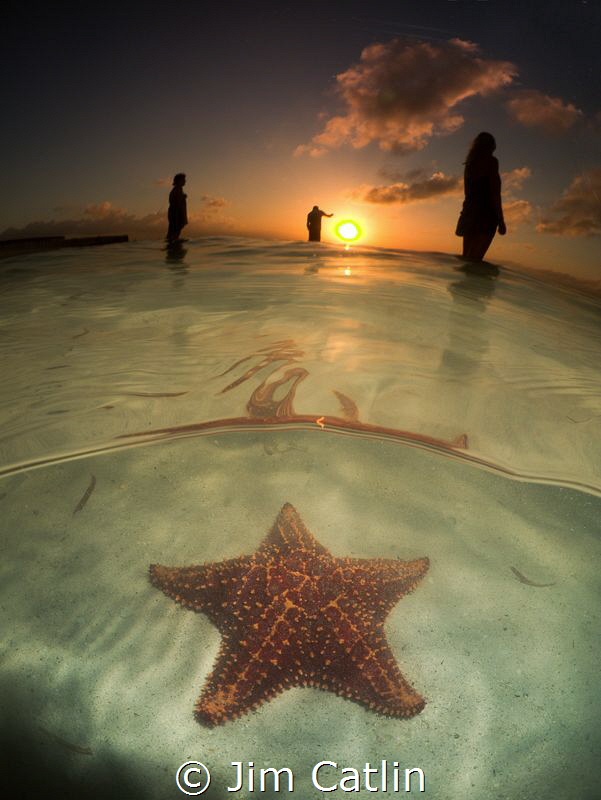 Sunset silhouettes... Starfish point, Grand Cayman by Jim Catlin 