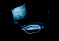 Mantas at night. Kona. Not a composite. 10.5mm wide angle 