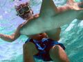 my friend mark swimming above a nurse shark 