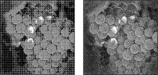 Pattern Dither conversion method, and Diffusion Dither conversion method