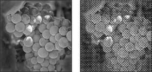 Original grayscale image, and Halftone Screen conversion: 53 lpi, 45 angle, round dot