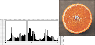 Resulting histogram and image
